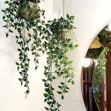 Apartment Tropicana